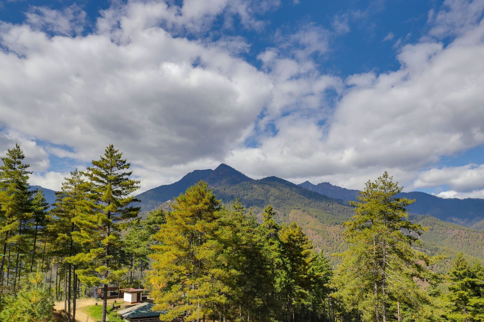 Thimphu Resorts price